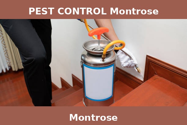 PEST CONTROL Montrose